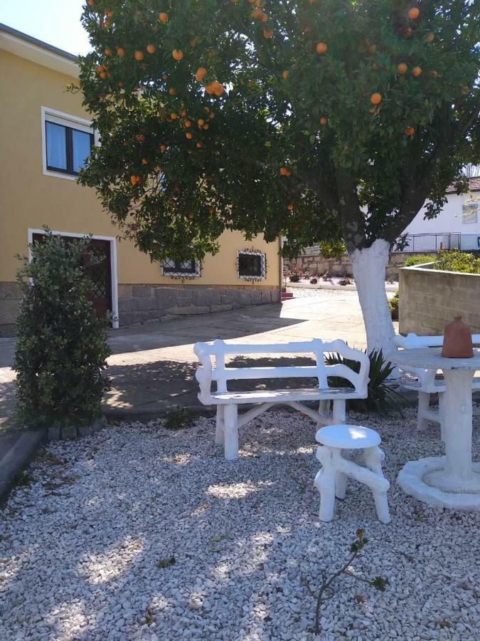 Casa Celeste Portugal 빌라노바데가이아 외부 사진